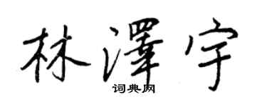 王正良林澤宇行書個性簽名怎么寫