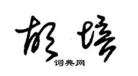 朱錫榮胡培草書個性簽名怎么寫