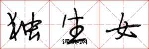 段相林獨生女行書怎么寫