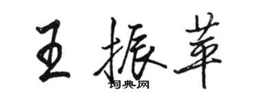 駱恆光王振苹行書個性簽名怎么寫
