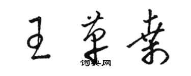 駱恆光王革桑草書個性簽名怎么寫