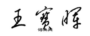 梁錦英王寶暉草書個性簽名怎么寫