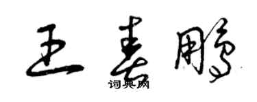 曾慶福王春鵬草書個性簽名怎么寫