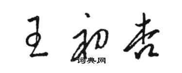 駱恆光王初杏草書個性簽名怎么寫