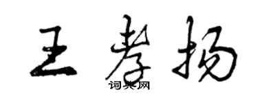 曾慶福王孝揚行書個性簽名怎么寫