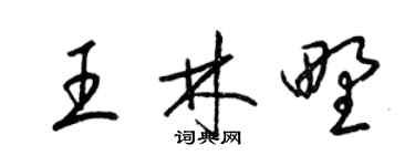 梁錦英王林野草書個性簽名怎么寫
