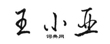 駱恆光王小亞行書個性簽名怎么寫