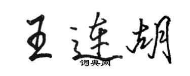 駱恆光王連胡行書個性簽名怎么寫