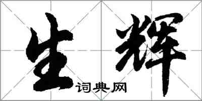 胡問遂生輝行書怎么寫