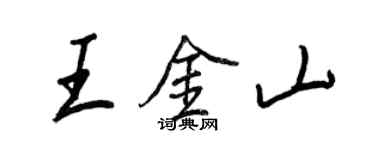王正良王金山行書個性簽名怎么寫