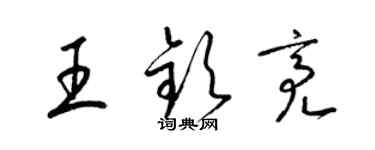 梁錦英王欽亮草書個性簽名怎么寫