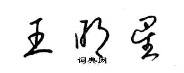 梁錦英王明星草書個性簽名怎么寫