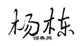 曾慶福楊棟行書個性簽名怎么寫