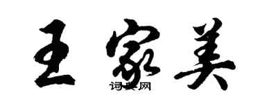 胡問遂王家美行書個性簽名怎么寫