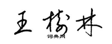 梁錦英王樹林草書個性簽名怎么寫