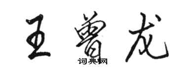 駱恆光王曾龍行書個性簽名怎么寫