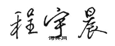 駱恆光程宇晨行書個性簽名怎么寫