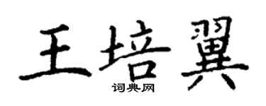 丁謙王培翼楷書個性簽名怎么寫