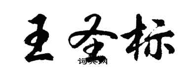 胡問遂王聖標行書個性簽名怎么寫