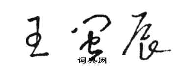 駱恆光王閩辰草書個性簽名怎么寫