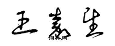 曾慶福王嘉望草書個性簽名怎么寫