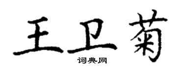 丁謙王衛菊楷書個性簽名怎么寫