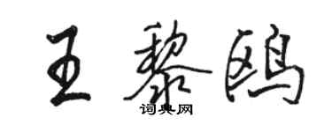 駱恆光王黎鷗行書個性簽名怎么寫