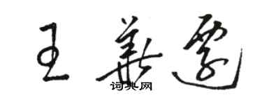 駱恆光王華遷草書個性簽名怎么寫