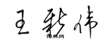 駱恆光王新偉草書個性簽名怎么寫