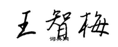 王正良王智梅行書個性簽名怎么寫