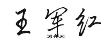 駱恆光王軍紅行書個性簽名怎么寫