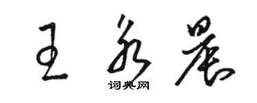 駱恆光王永晨草書個性簽名怎么寫