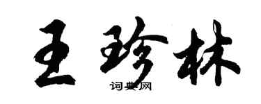 胡問遂王珍林行書個性簽名怎么寫