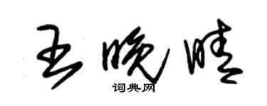 朱錫榮王晚晴草書個性簽名怎么寫