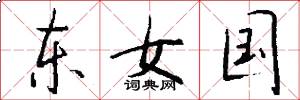 東女國怎么寫好看