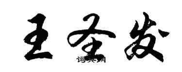 胡問遂王聖發行書個性簽名怎么寫