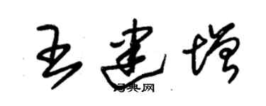 朱錫榮王建增草書個性簽名怎么寫