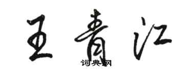 駱恆光王青江行書個性簽名怎么寫