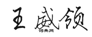 駱恆光王威領行書個性簽名怎么寫