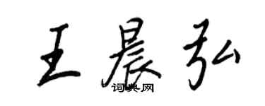 王正良王晨弘行書個性簽名怎么寫