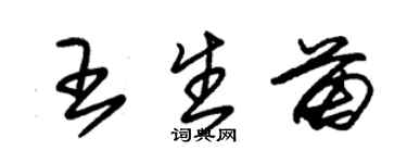 朱錫榮王生苗草書個性簽名怎么寫