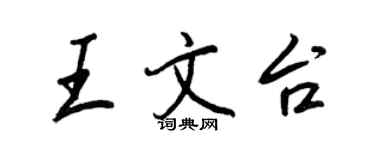 王正良王文台行書個性簽名怎么寫
