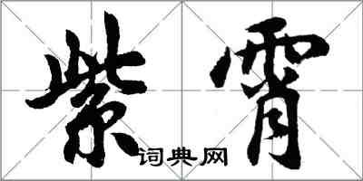 胡問遂紫霄行書怎么寫