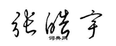 梁錦英張皓宇草書個性簽名怎么寫