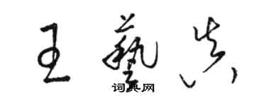 駱恆光王藝真草書個性簽名怎么寫