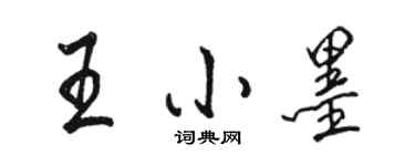 駱恆光王小墨行書個性簽名怎么寫