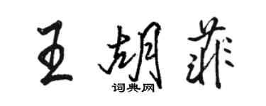 駱恆光王胡菲行書個性簽名怎么寫