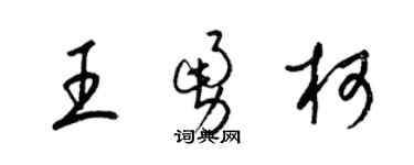 梁錦英王勇柯草書個性簽名怎么寫