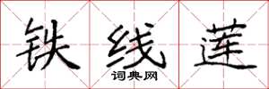 袁強鐵線蓮楷書怎么寫