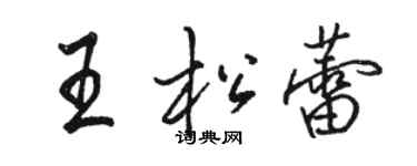 駱恆光王松蕾行書個性簽名怎么寫